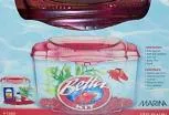 Marina Betta Pal Burgundy