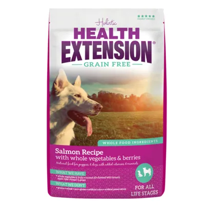 Grain Free Salmon Recipe Dry Dog Food 10-lb