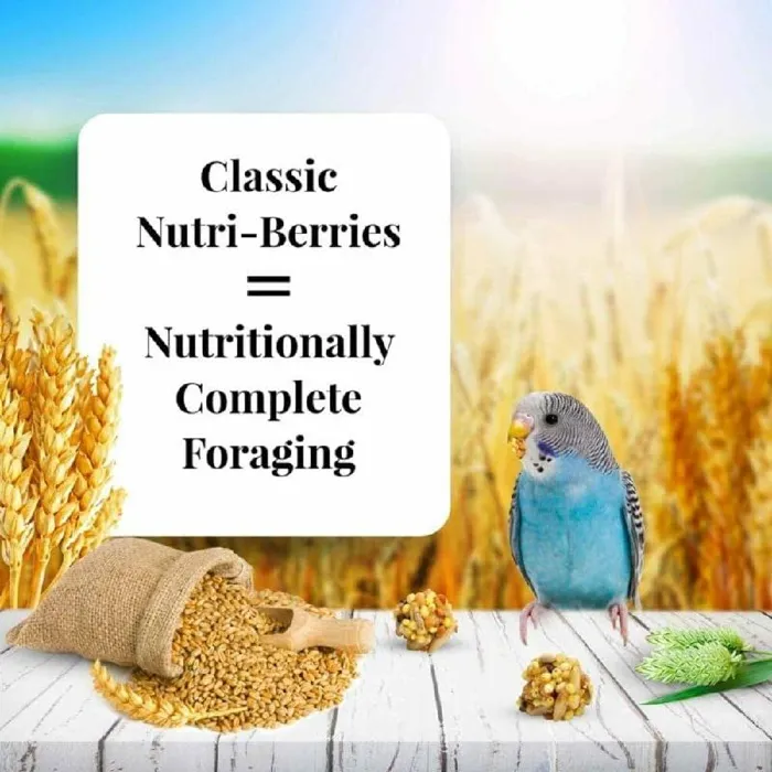 Laf Food Nutribry Keet 10oz