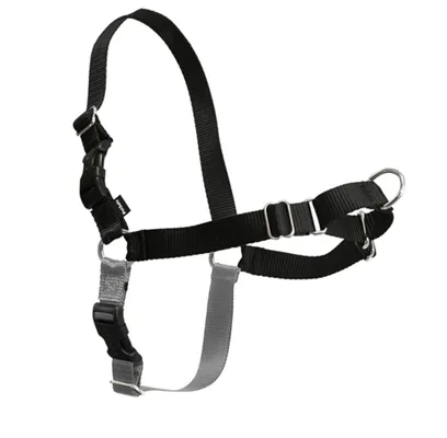 Easy Walk Harness, No Pull Dog Harness Petite / Small Black