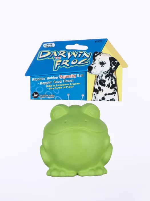 Jwp Darwin Frog Toy Large
