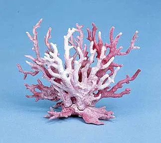 Deco Stag Coral Small-blue