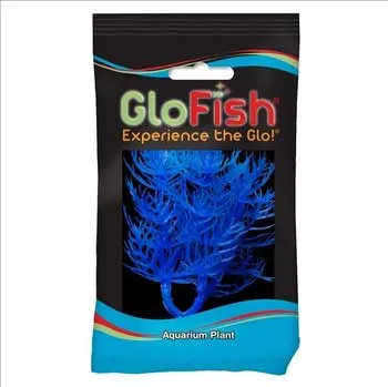 Tetra Glofish 6" Foxtail Plant - Cosmic Blue