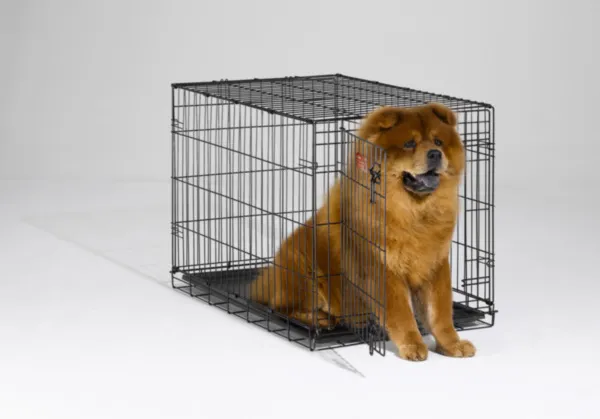I-crate Single Door Folding Dog Crate 36"x23"x25"