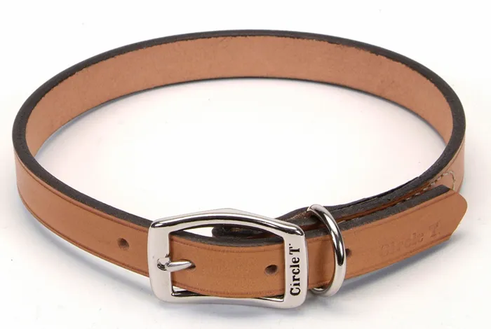 Oak Tanned Leather Town Dog Collar, Tan, 3/4" X 20"