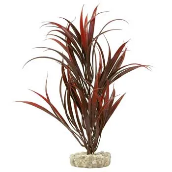 Gravel Base Plant Sword Plant Red