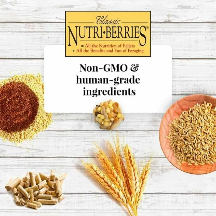 Laf Food Nutribry Keet 10oz