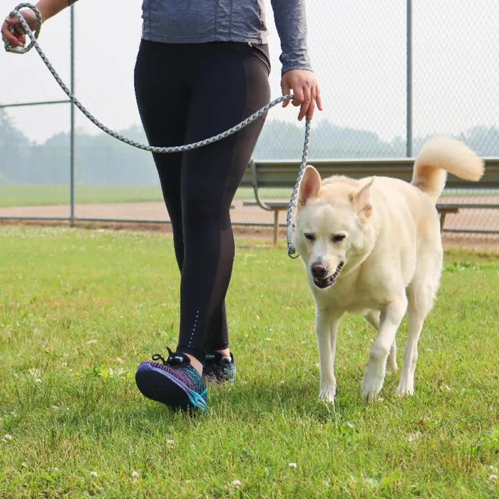 Pro Active Woven Reflective Collar Rope Leash North Sky