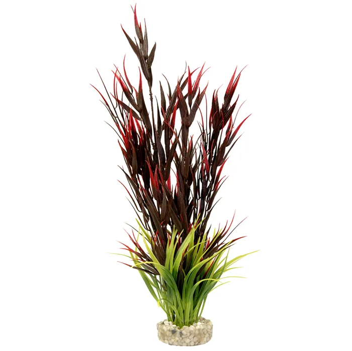 Gravel Base Plant Wild Mountain Plant Red