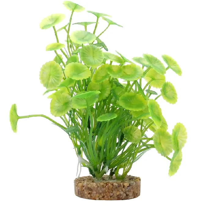 Fluval Green Lysimachia Plant Mix 6-8in