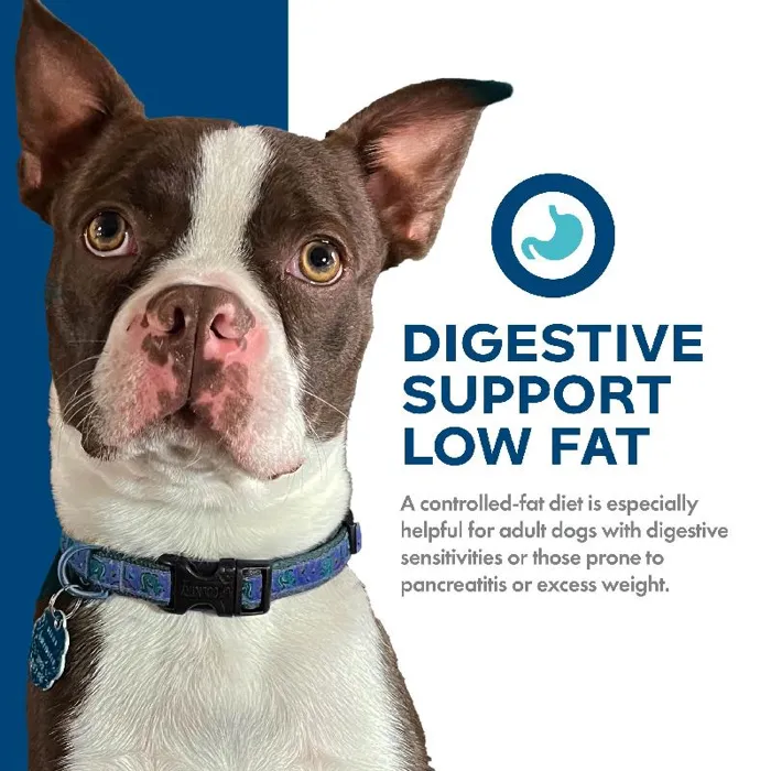 Fromm Digestive Low Fat Chicken Oatmeal 12lb