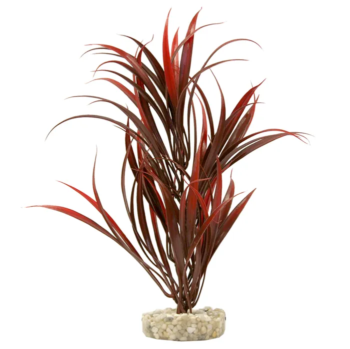 Gravel Base Plant Sword Plant Red