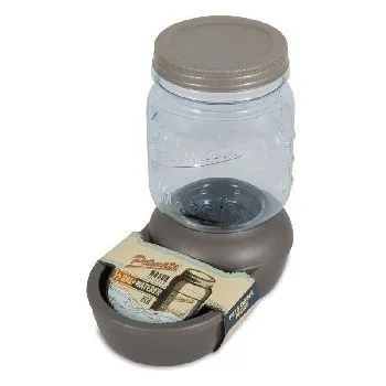 Mason Jar Replendish Filtered Waterer Clear/silver .5 Gallon;