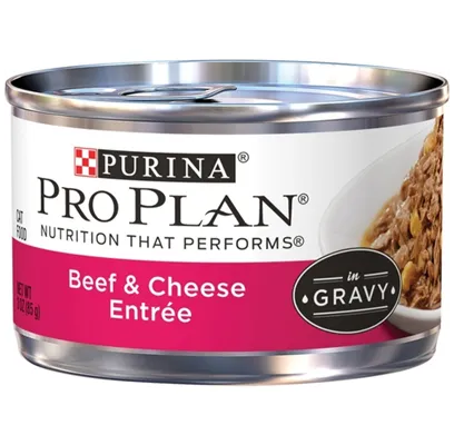 Pp Gravy Bf/chz Cat Can 24/3oz;