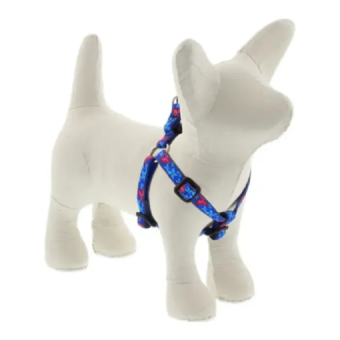 Lupine Step In 12-18" Social Butterfly