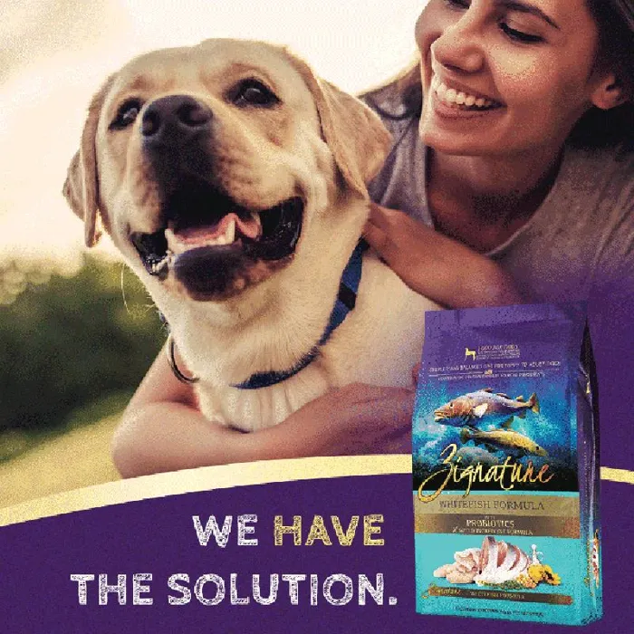 Limited Ingredient Diet Grain Free Whitefish Recipe Dry Dog Food 13.5-lb