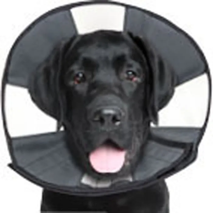 Zenpet Soft Recovery Collar Large