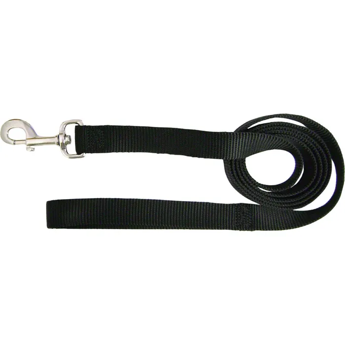 Single Thick Nylon Lead Black 5/8"x4'