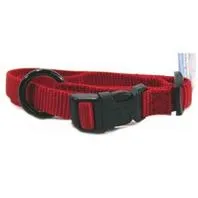 Adjustable Nylon Dog Collar 12-18"
