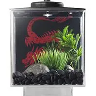 Betta Cube With Light Black .75 Gallon