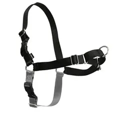 Easy Walk Harness, No Pull Dog Harness Petite / Small Black
