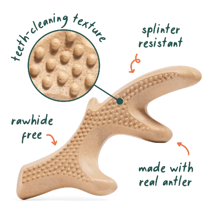 Woof Dog Toy Honestchew Antler Small