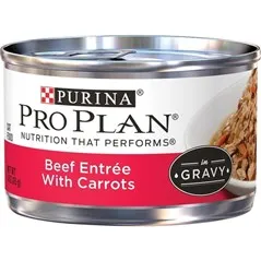 Pp Savor Beef And Carrot Cat Food 3 Oz
