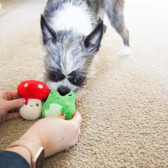Li'l Pals 3 Pack Dog Toy Combo, Secret Garden, One