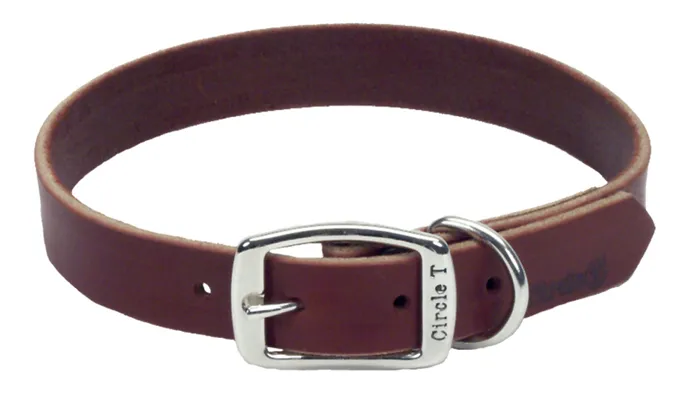 Latigo Leather Collar 1/2"x16"