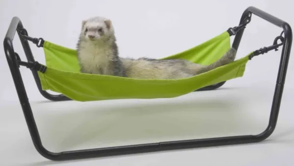 Ferret Paws & Relax Hammock With Stand