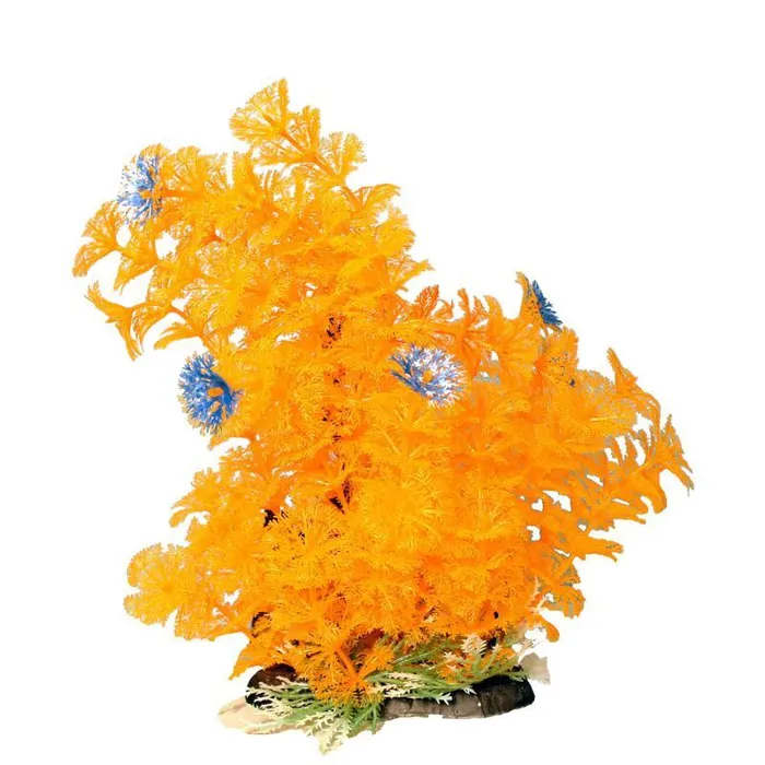 Bushy Ambuila Aquarium Plant Orange 12 Inch;