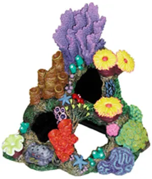 Indonesian Reef Cavern