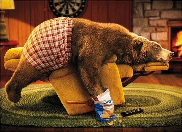 AVANTI  Bear Eating Chips - Birthday