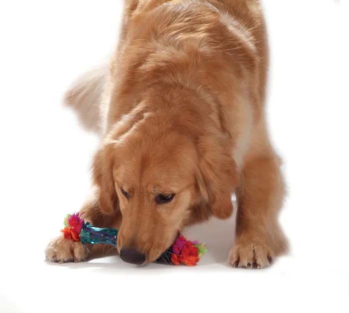 Pet Stages Orka Stick W/rope