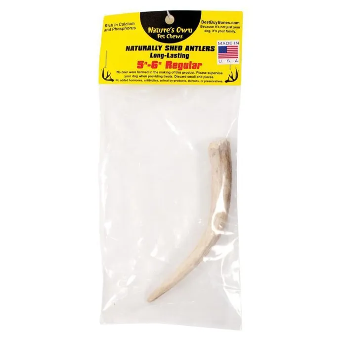 Packaged Regular Naturally Shed Antler 5-6"