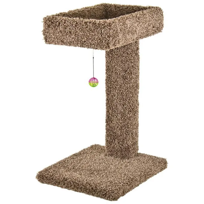 Kitty Cactus W/toy 24 In