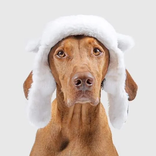 Arctic Air Hat Large