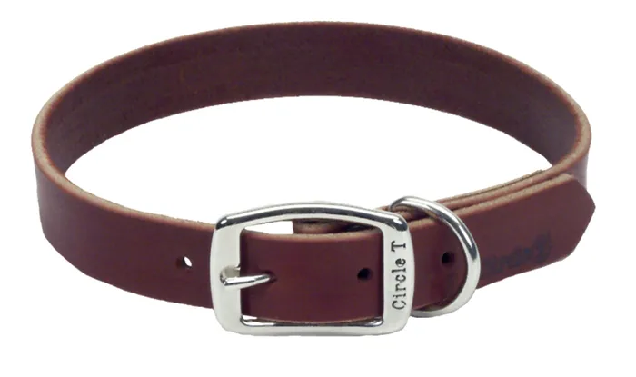 Latigo Leather Town Dog Collar, Latigo, 3/4" X 20"