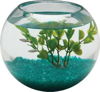 Glass Bowl Round 1/2 Gallon