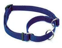 Martingale Adjustable Dog Collar, Blue, 5/8" X 10"-14"