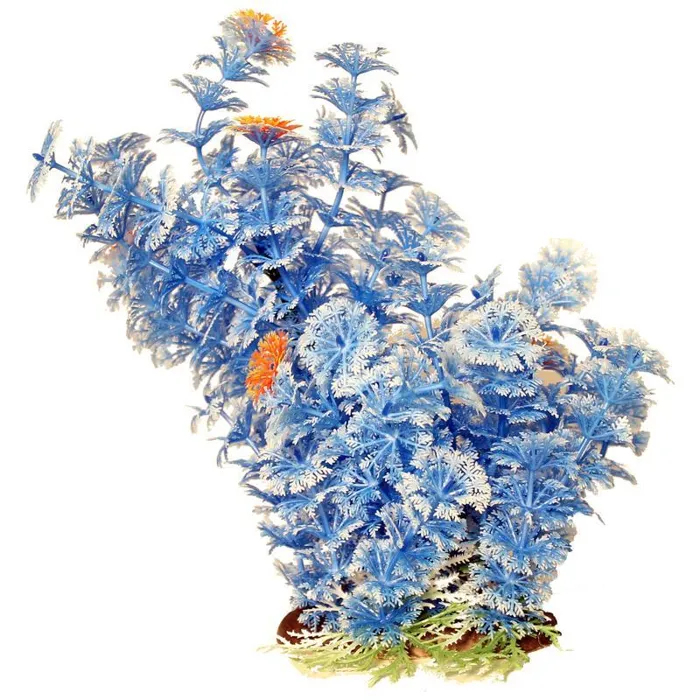 Bushy Ambuila Aquarium Plant Blue 12 Inch;