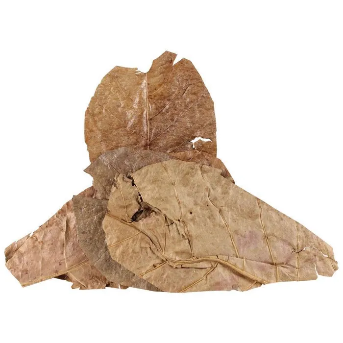 Fluker Hermit Crab Catappa Leaves 5 Pk