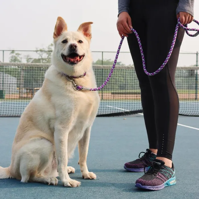 Pro Active Woven Reflective Rope Leash Cobalt