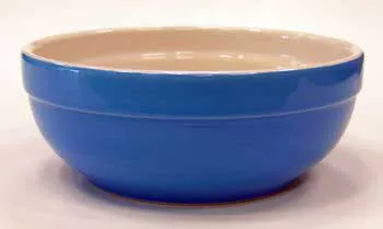 8" Wide Rim Dog Dish Blue