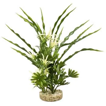 Gravel Base Plant Fiesta Aqua Bush Plant Green