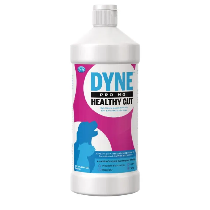 DISC Petag Dyne Pro Healthy Gut 16oz