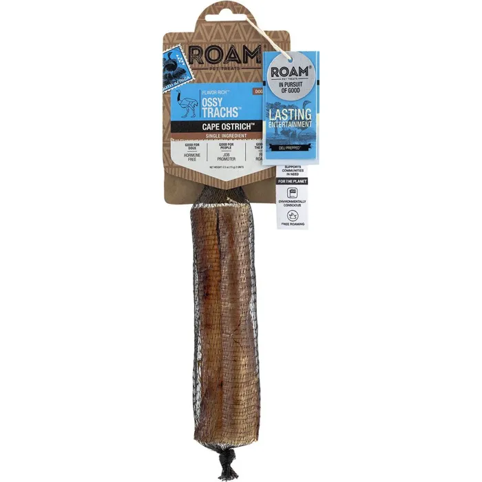 Ossy Trachs Cape Ostrich