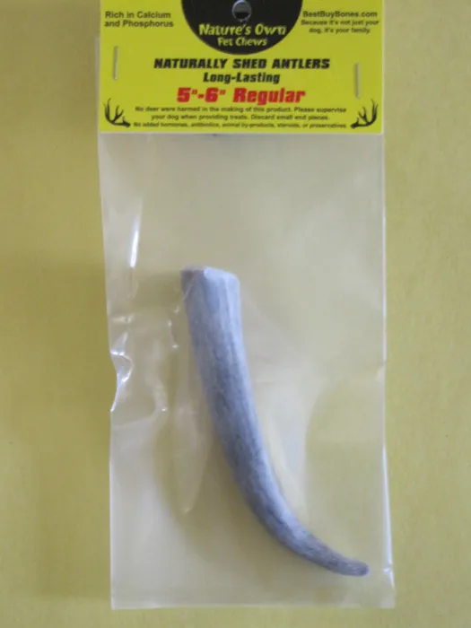 Packaged Regular Naturally Shed Antler 5-6"