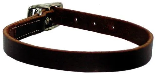 Latigo Leather Town Dog Collar, Latigo, 1" X 18"