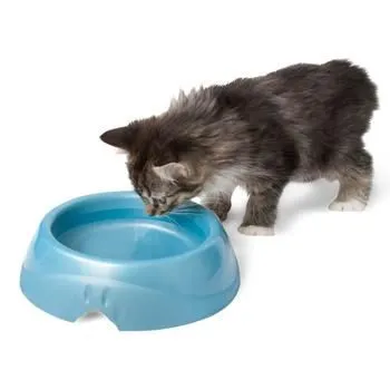 Ultra Light Weight Dish Twin Medium 2 Cup
